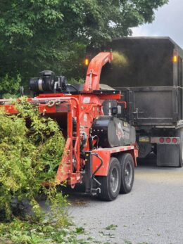 Lancaster and York Counties PA Tree Service Near Me