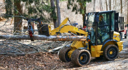 upland tree service
