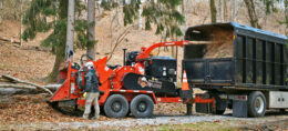 tree grinder
